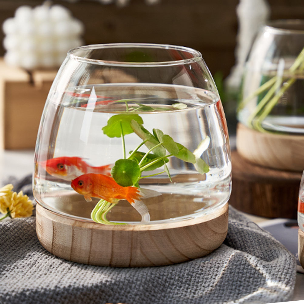 Planted Aquarium Bowl - 1Set Premium Glass Hydroponic Plant Terrarium