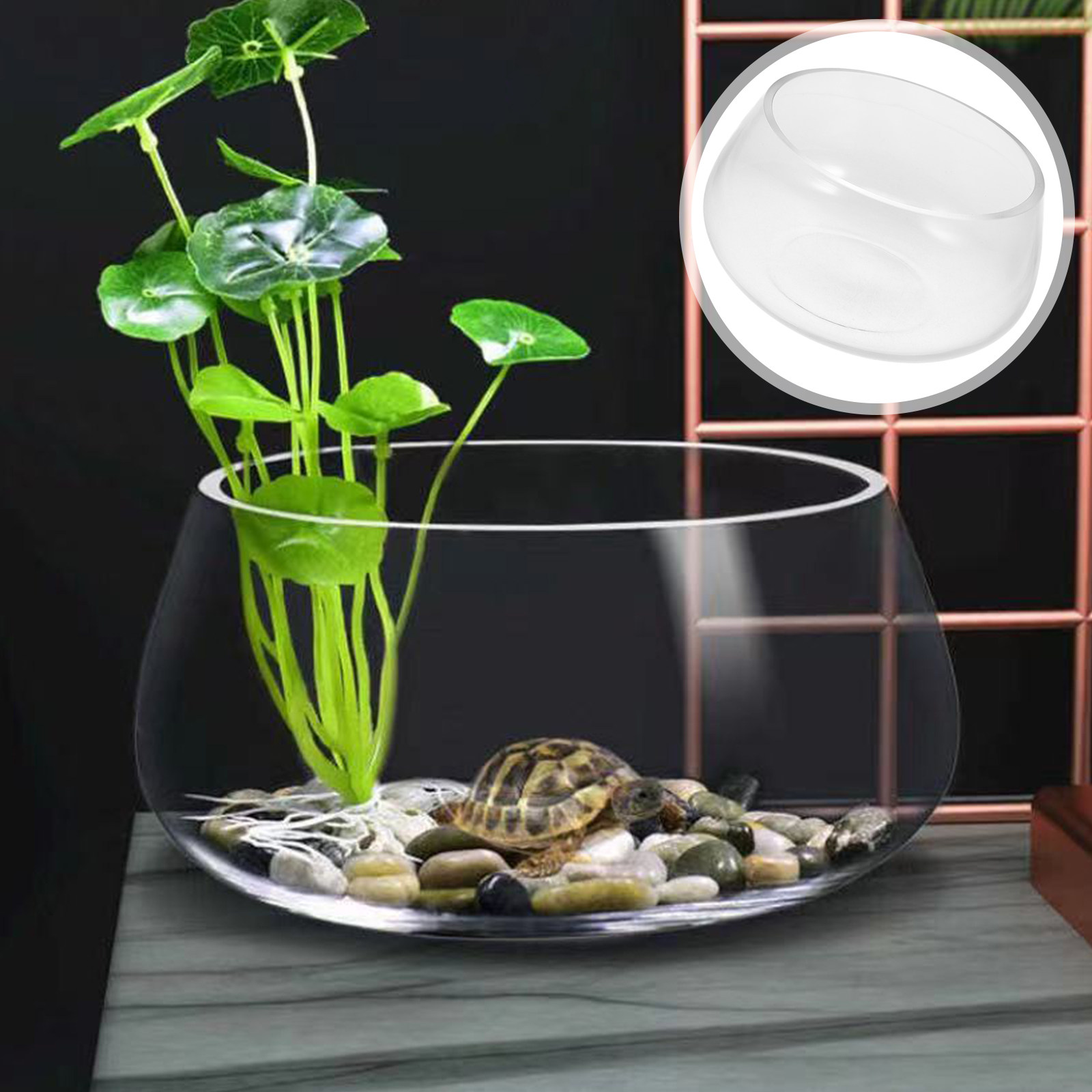 Planted Aquarium Bowl - Round Mini Aquarium Tank Clear Glass
