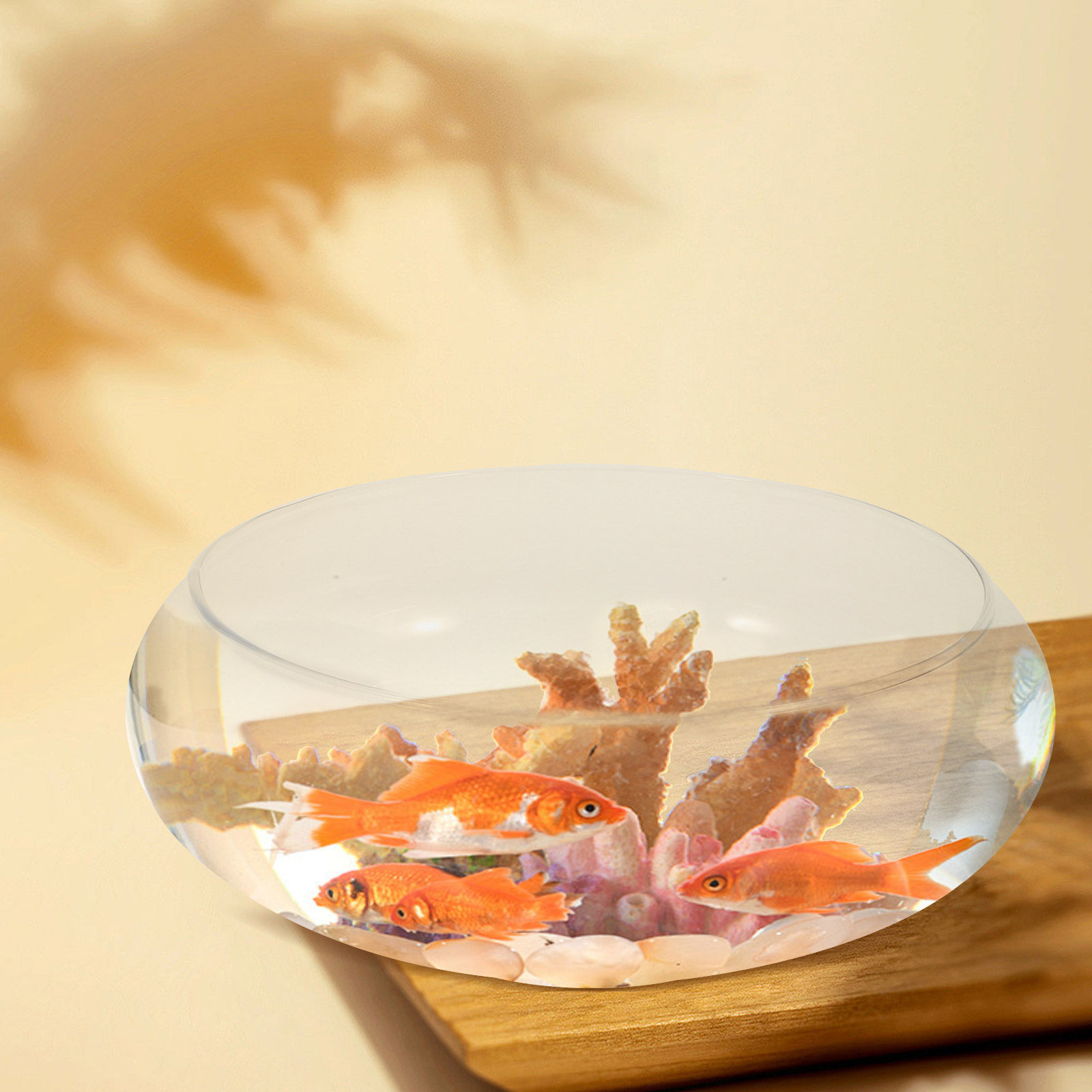 Planted Aquarium Bowl - Transparent Glass Fish Bowl Desktop Small