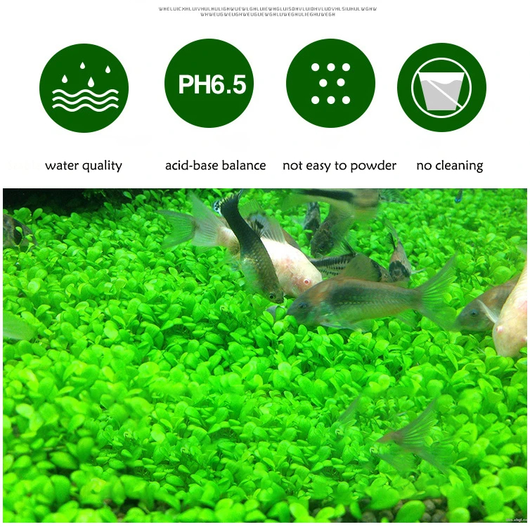 Fish Tank Water Grass Mud Plan - Aquarium Plant Liquid Fertilizer recension och pris