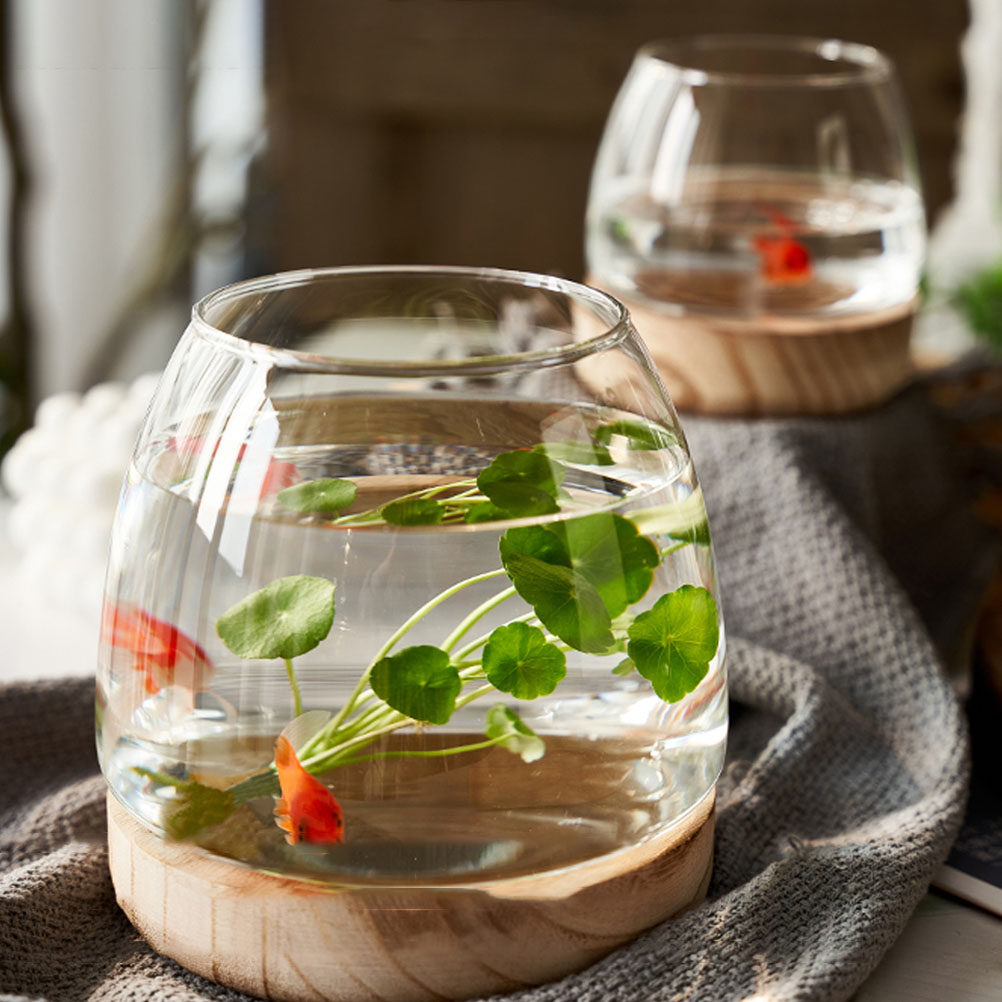 1Set Premium Glass Hydroponic  - Planted Aquarium Bowl recension och pris