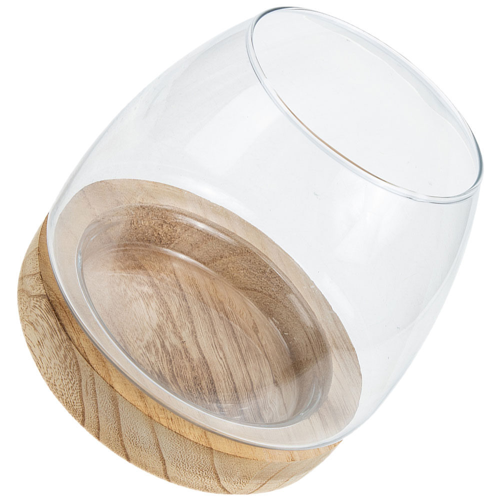 1Set Premium Glass Hydroponic  - Planted Aquarium Bowl recension och pris