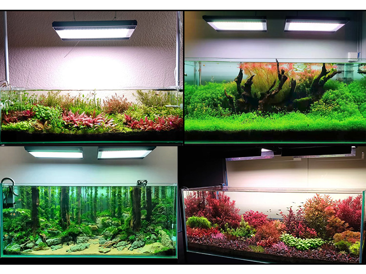 WEEK AQUA A430Pro LED Aquarium - Planted Aquarium Hanging Light recension och pris