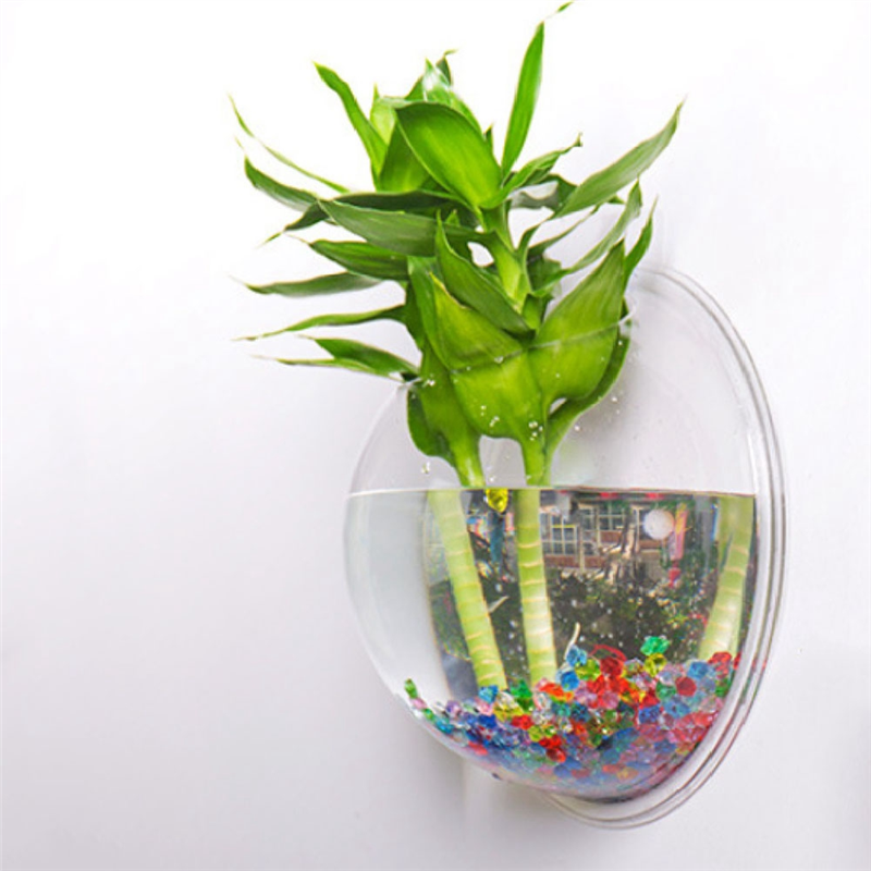 A26F-Transparent Plant Pot Wal - Planted Aquarium Bowl recension och pris