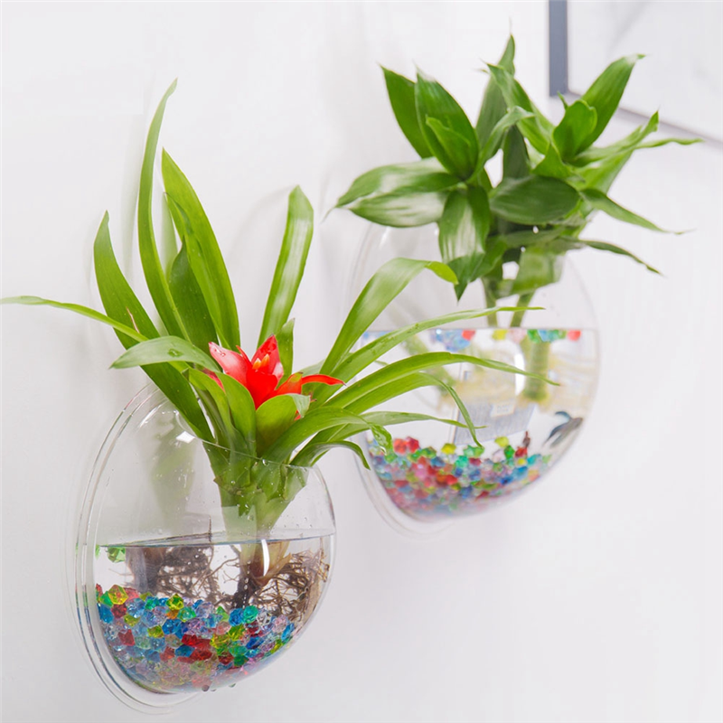 A26F-Transparent Plant Pot Wal - Planted Aquarium Bowl recension och pris