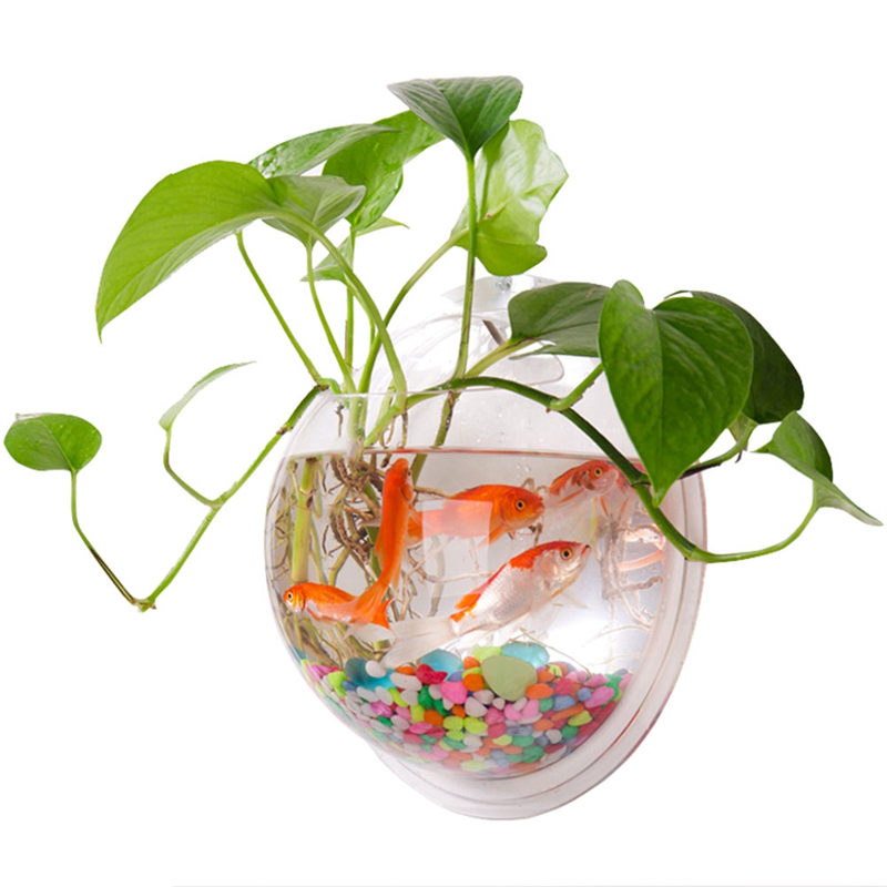 A26F-Transparent Plant Pot Wal - Planted Aquarium Bowl recension och pris