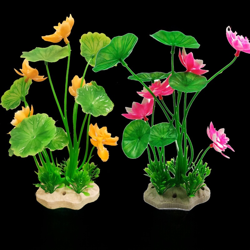 Aquarium Lacape Decoration Ro  - Planted Aquarium Bowl recension och pris
