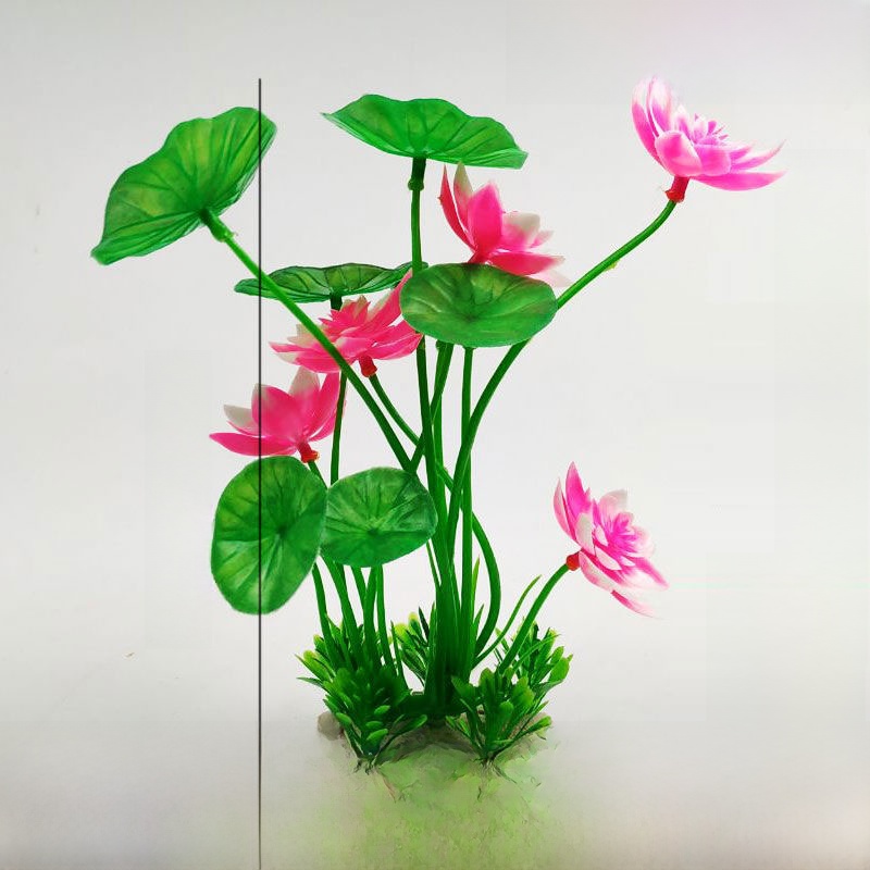 Aquarium Lacape Decoration Ro  - Planted Aquarium Bowl recension och pris