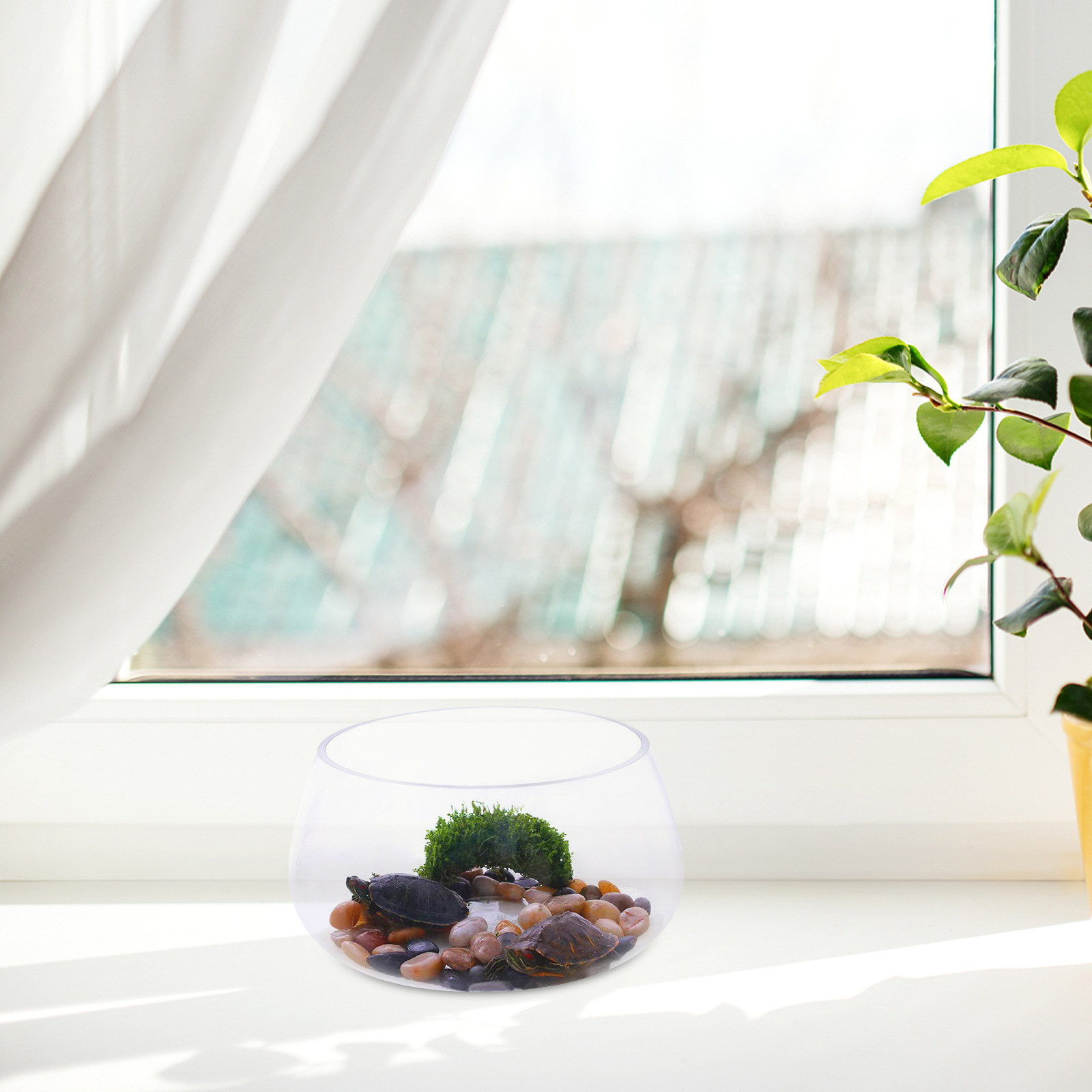 Round Mini Aquarium Tank Clear - Planted Aquarium Bowl recension och pris