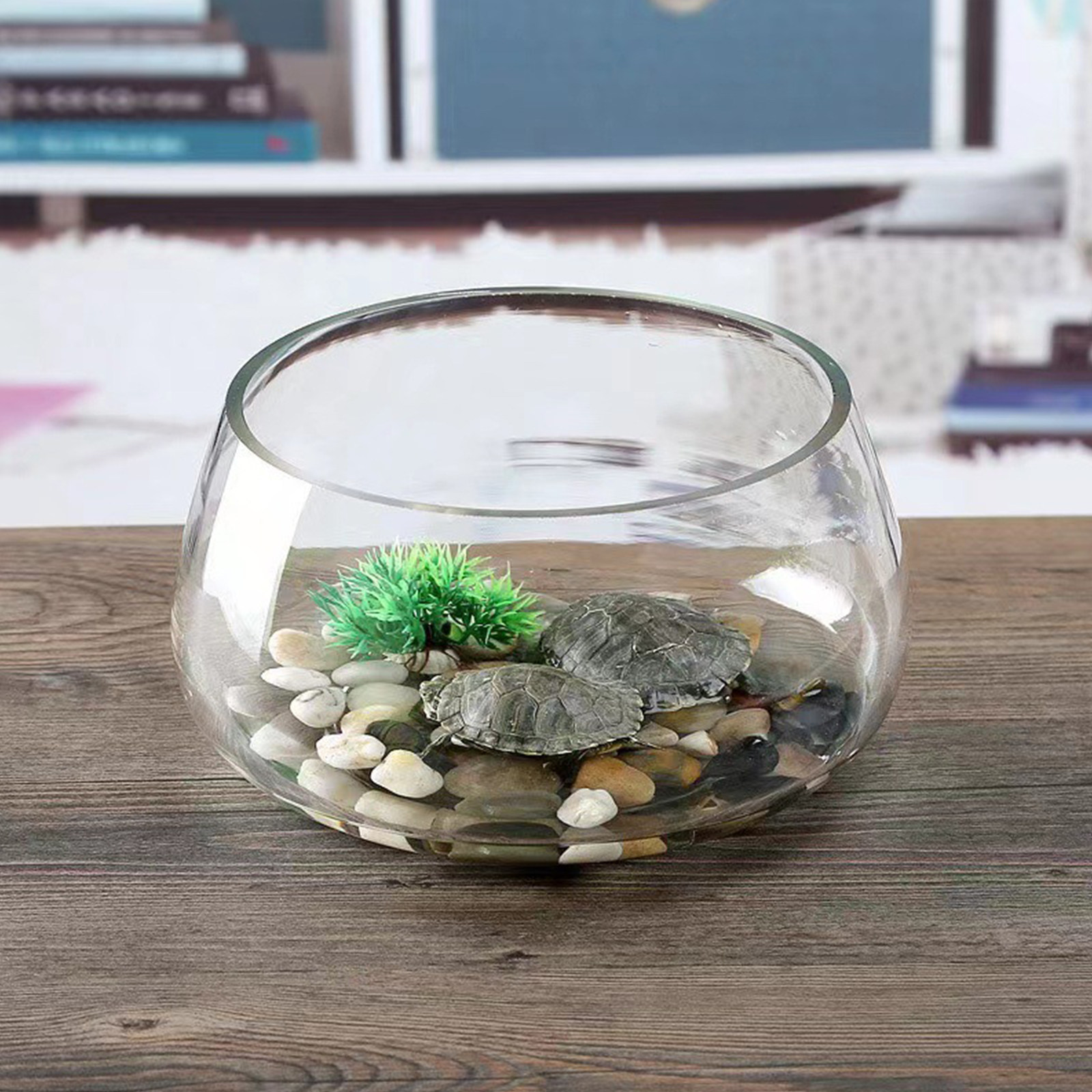 Round Mini Aquarium Tank Clear - Planted Aquarium Bowl recension och pris