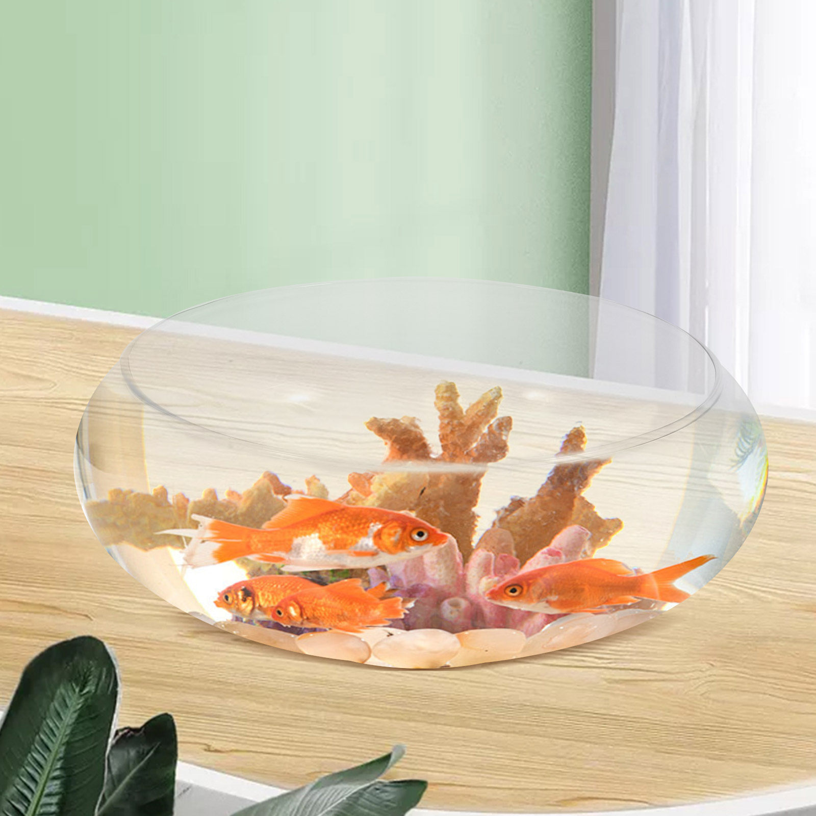 Clear Glass Fish Bowl Small De - Planted Aquarium Bowl recension och pris