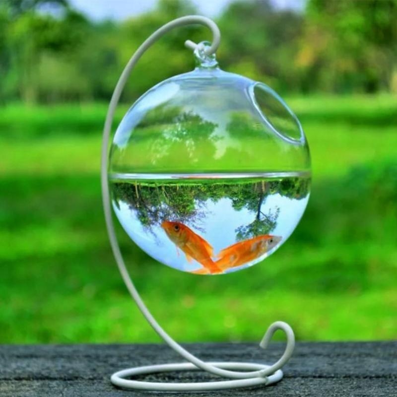 Transparent Spherical Glass Ha - Planted Aquarium Bowl recension och pris