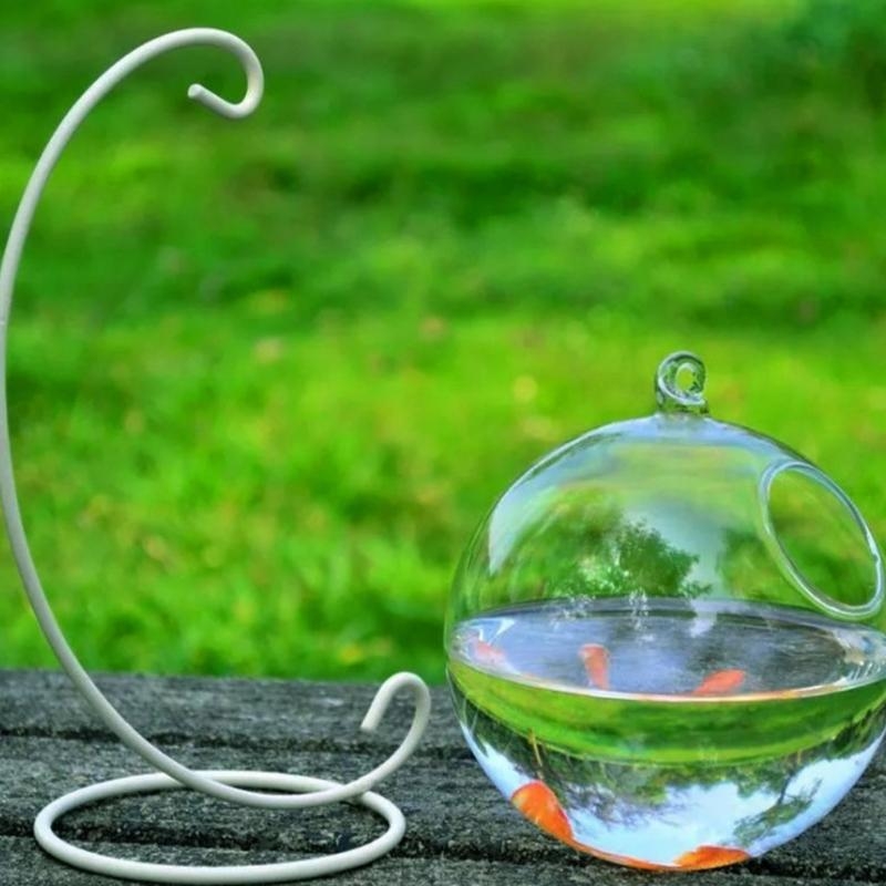 Transparent Spherical Glass Ha - Planted Aquarium Bowl recension och pris