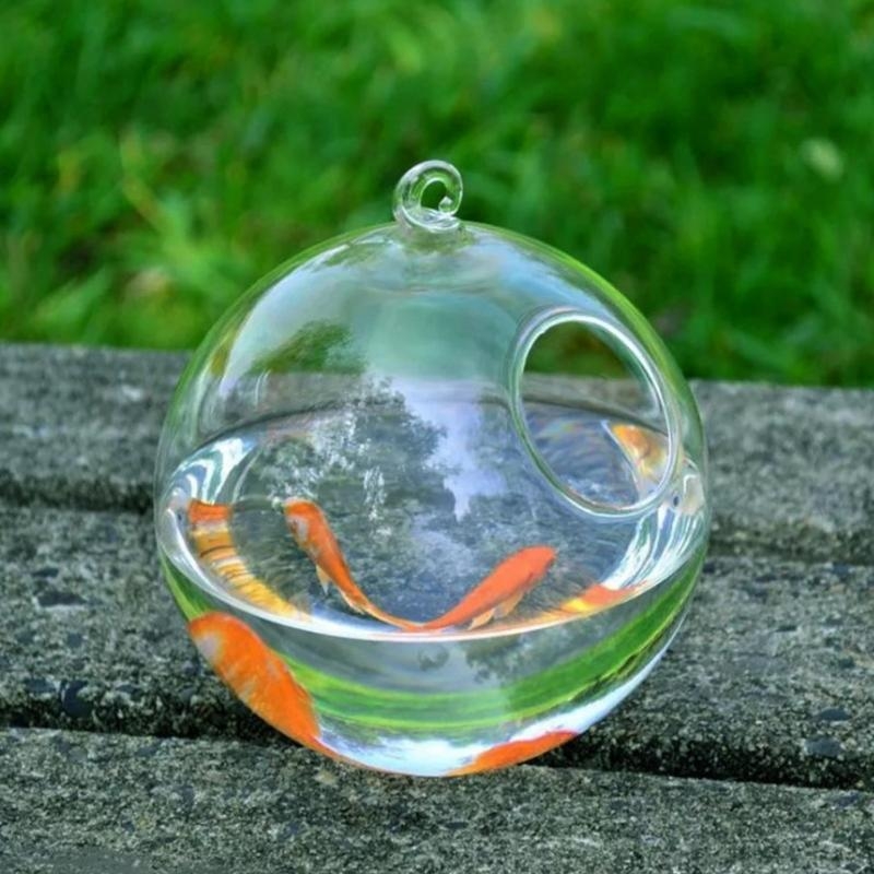 Transparent Spherical Glass Ha - Planted Aquarium Bowl recension och pris