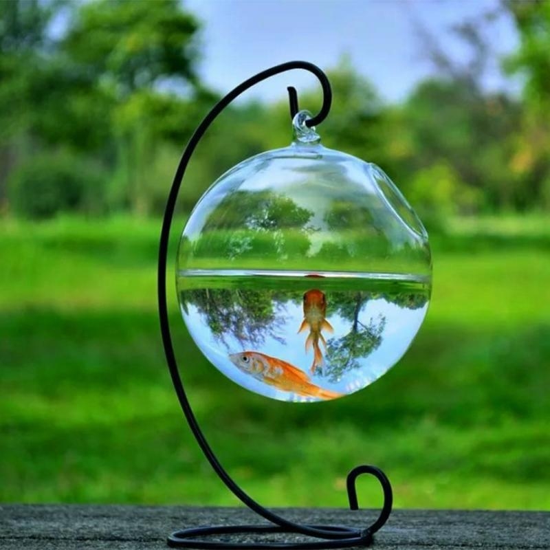 Transparent Spherical Glass Ha - Planted Aquarium Bowl recension och pris