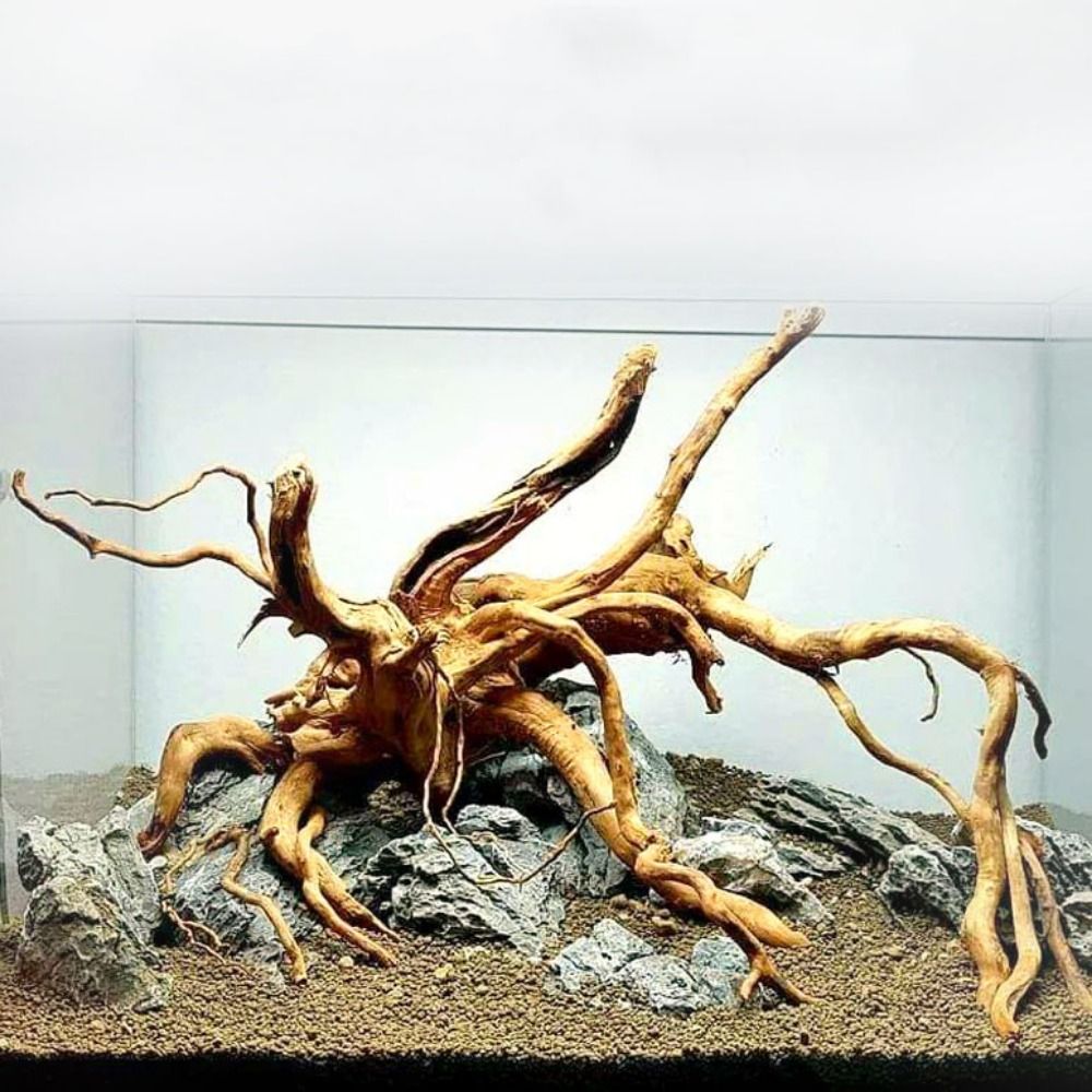 20-25CM Large Aquarium Driftwo - Planted Aquarium Bowl recension och pris