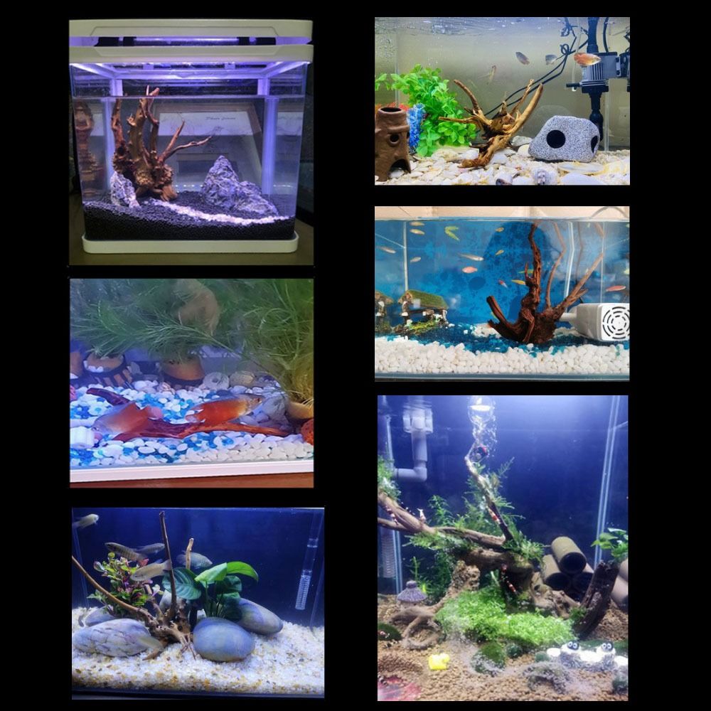 20-25CM Large Aquarium Driftwo - Planted Aquarium Bowl recension och pris