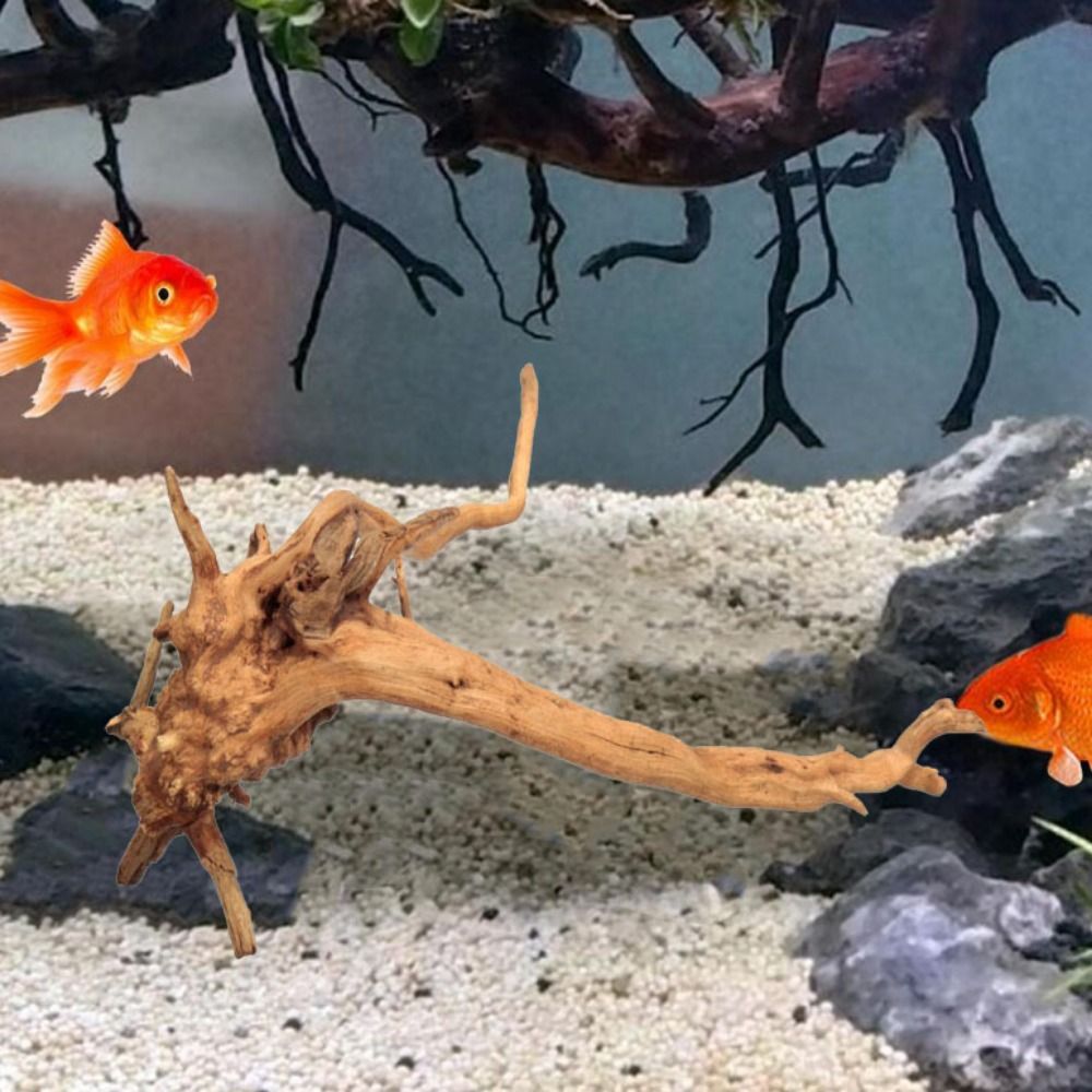20-25CM Large Aquarium Driftwo - Planted Aquarium Bowl recension och pris