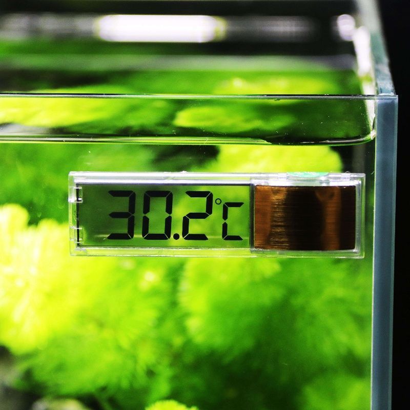 1pc Aquarium Thermometer 3D Di - Planted Aquarium Temperature recension och pris