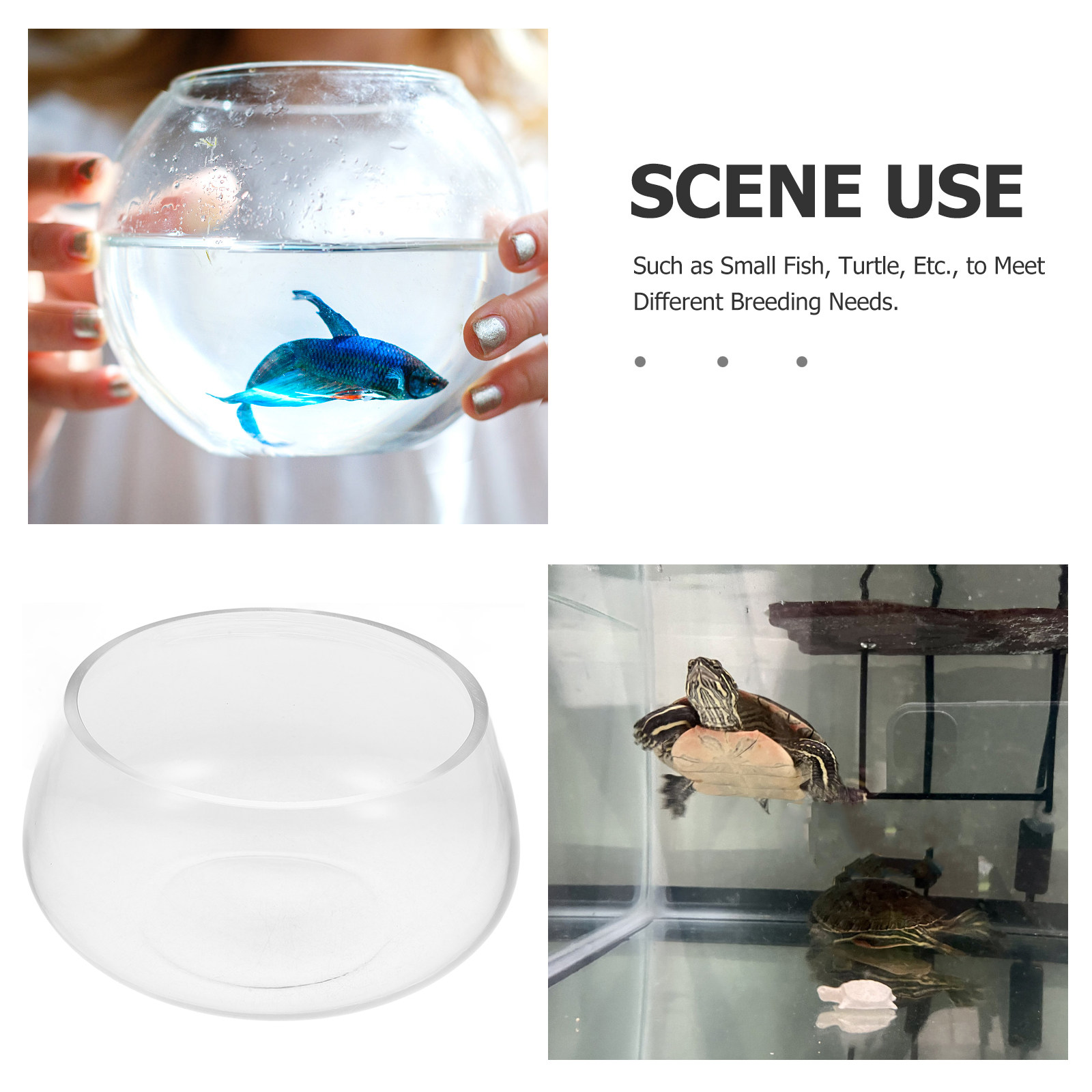 Round Clear Glass Mini Aquariu - Aquarium Planted Shop recension och pris