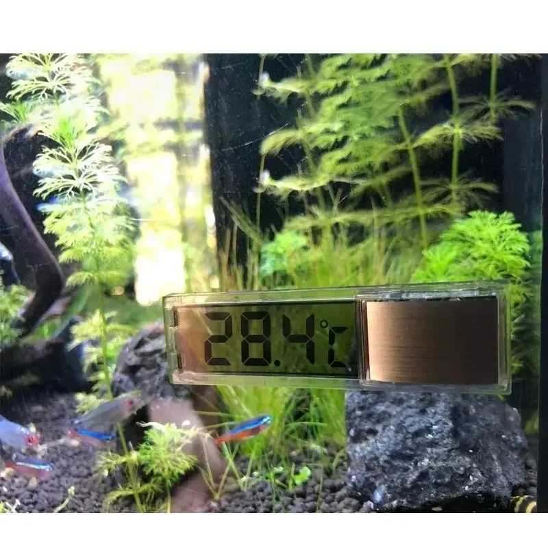Aquarium Thermometer Electroni - Planted Aquarium Temperature recension och pris